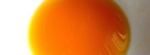 десерт-желе по-японски. Шаг 6