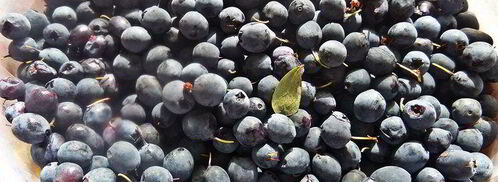 клафути ягодное. Шаг 9