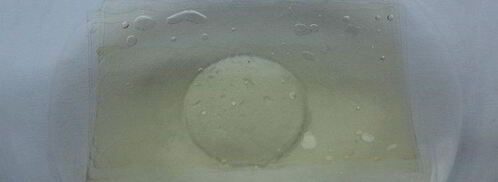 кофейно-ромовая панна котта с соусом тоффи. Шаг 4