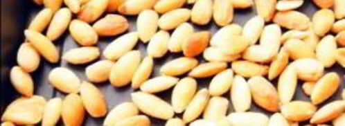 итальянские конфеты. Шаг 2