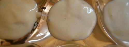 конфеты с цукатами из фенхеля. Шаг 6