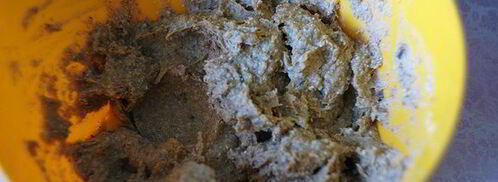 полезные конфеты с финиками, апельсином и бананами. Шаг 2