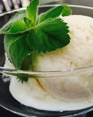 Диетическое мороженое Пломбир