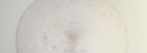 мороженое 5 рублей. Шаг 3