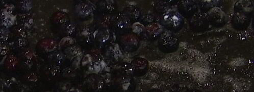 мороженое из козьего йогурта с ягодным соусом. Шаг 9