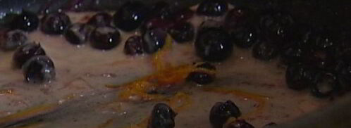 мороженое из козьего йогурта с ягодным соусом. Шаг 10