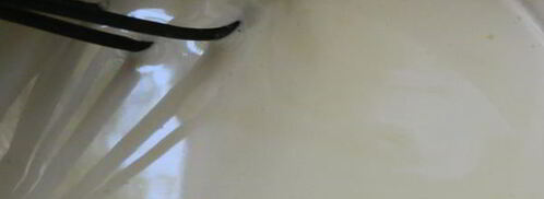 пломбир по госту. Шаг 2