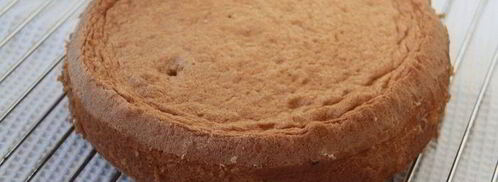 лимонный муссовый торт. Шаг 9