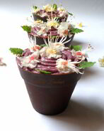 Шоколадные стаканчики с черничным муссом и бисквитом