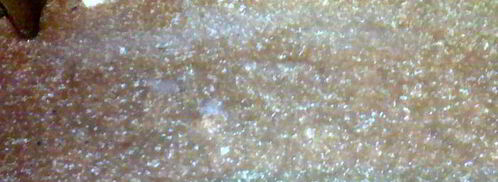 слоеный шоко-мусс. Шаг 4