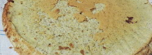 торт-мусс черничный каприз. Шаг 7