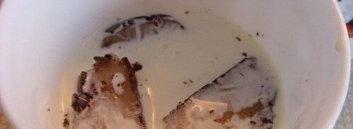 творожный мусс с ореховой нугой и шоколадным марципаном. Шаг 2