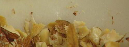 ванильная пасха с цукатами и миндалем. Шаг 4