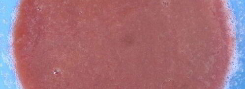 суфле из слив со сгущенным молоком. Шаг 3