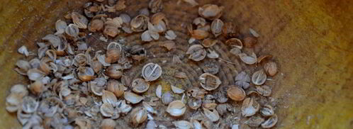 суфле из запеченной айвы. Шаг 4