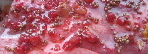 запеченная свинина с суфле из зеленого горошка бабочки прилетели. Шаг 3