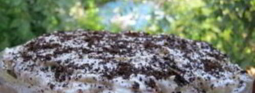 тирамису из печенья и творога. Шаг 5