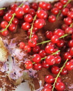 Тирамису с лесными ягодами