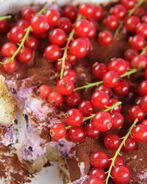 Тирамису с лесными ягодами