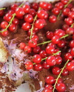 Тирамису с лесными ягодами