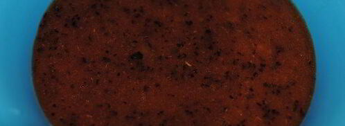 тирамису со вкусом сливы. Шаг 3