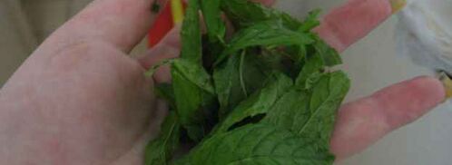 эгроль с персиками и шоколадным соусом. Шаг 5