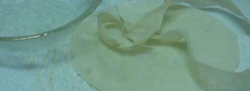 эгроль с персиками и шоколадным соусом. Шаг 13