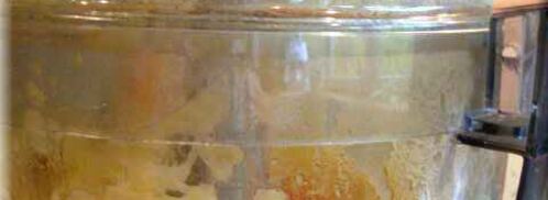 колдуны из картофеля с фаршем. Шаг 8