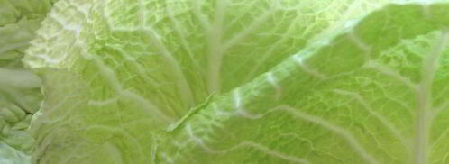 голубцы из прованса. Шаг 3