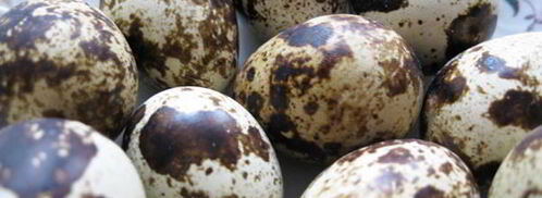 голубцы всевидящее око. Шаг 3