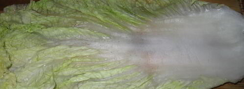 голубцы всевидящее око. Шаг 7