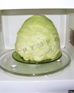 Капуста для голубцов в микроволновке