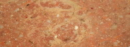 очень вкусные голубцы средней степени ленивости. Шаг 7