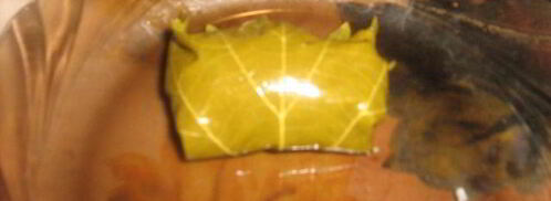 турецкая долма с хайдари. Шаг 5