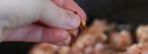 фаршированный портобелло. Шаг 6