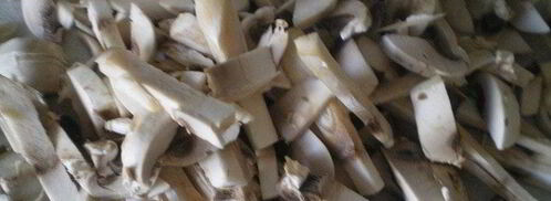 грибы бристольские. Шаг 2