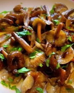 Опята жареные в мультиварке