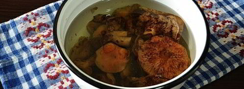 рыжики жареные. Шаг 4