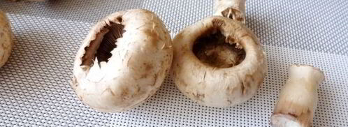 шампиньоны, фаршированные чечевицей. Шаг 3