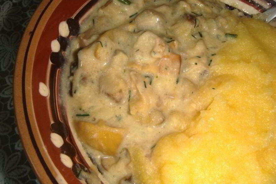 Рецепт смажанка — грибы в сметане