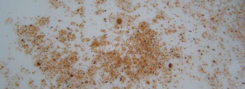 тушеные грибы в мультиварке. Шаг 5