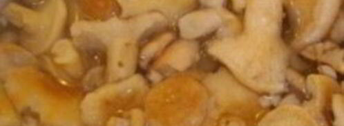 тушеные волнушки. Шаг 2