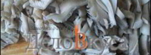 жареные грибы со сметаной — грибная начинка. Шаг 4