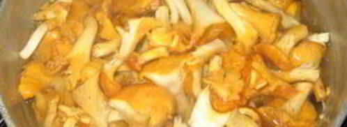 гуляш из лисичек. Шаг 2