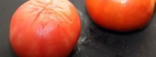 гуляш из свинины с помидорами. Шаг 5