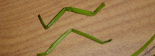 картофельное пюре паучки. Шаг 3