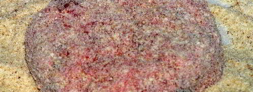 котлеты из свеклы с базиликом. Шаг 4