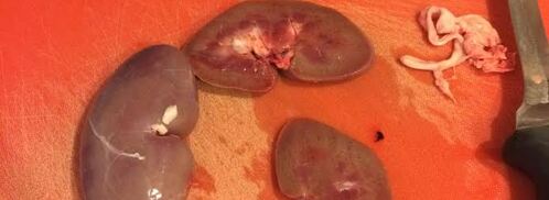 кучмачи. Шаг 2