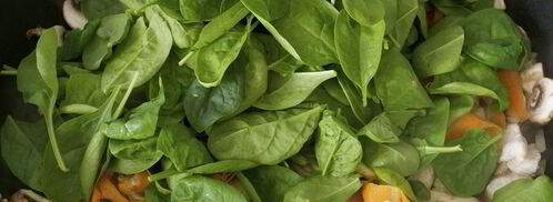 лазанья по-флорентийски. Шаг 6