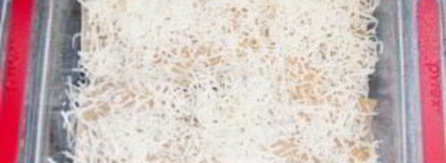 лазанья с курицей и овощами. Шаг 12